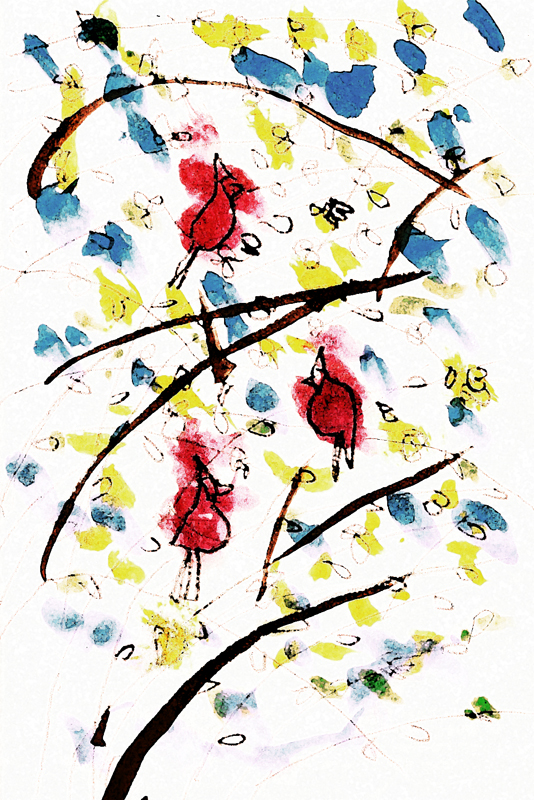 Cardinals in the Forsythia  - study sketch.